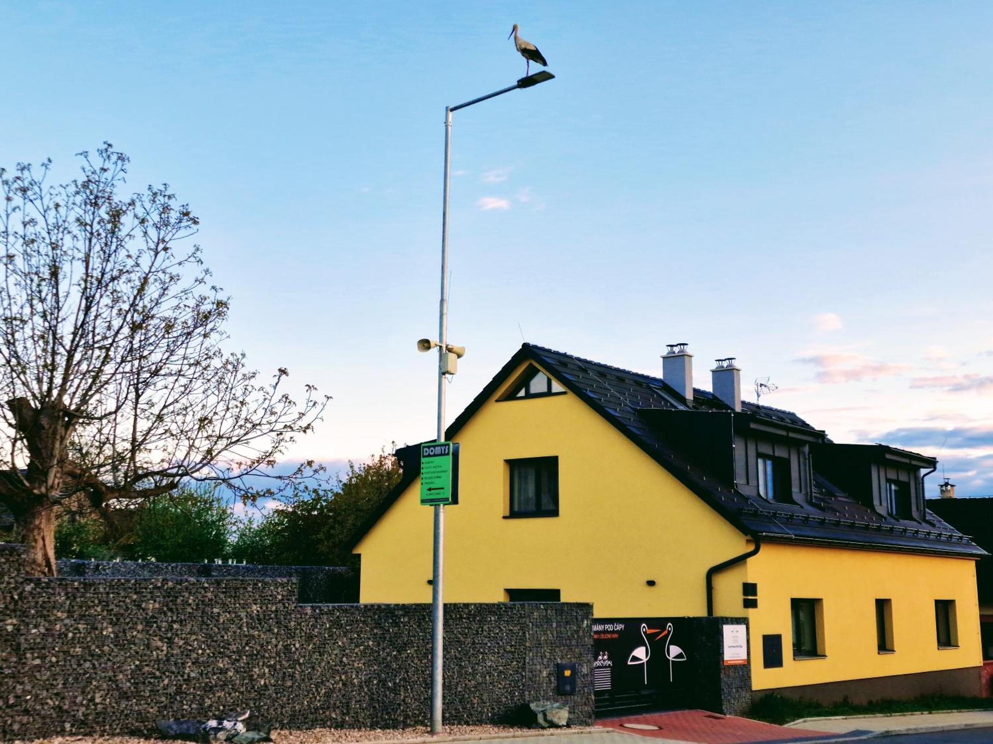 Apartmany Pod Capy, Nasavrky Exteriör bild