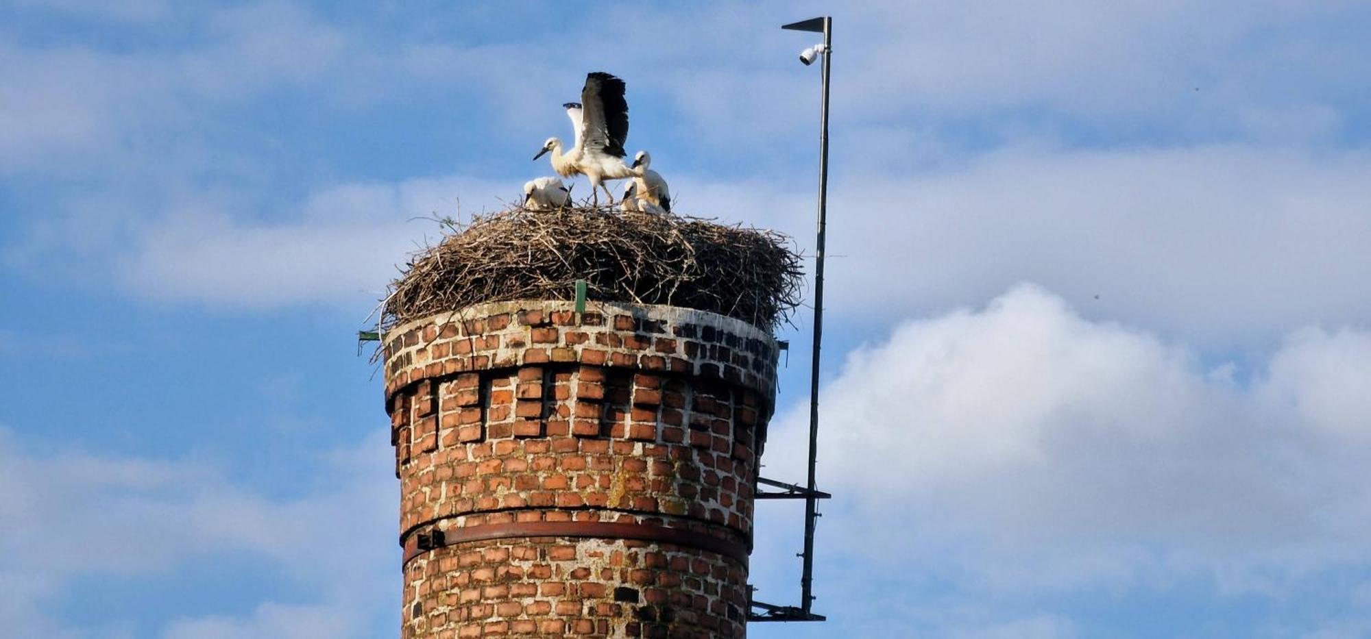Apartmany Pod Capy, Nasavrky Exteriör bild